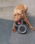 Combo Tug Toy Duo Pack