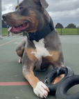 Large Natural Rubber Tug Toy