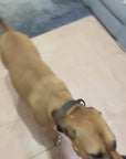 Large Tug Toy