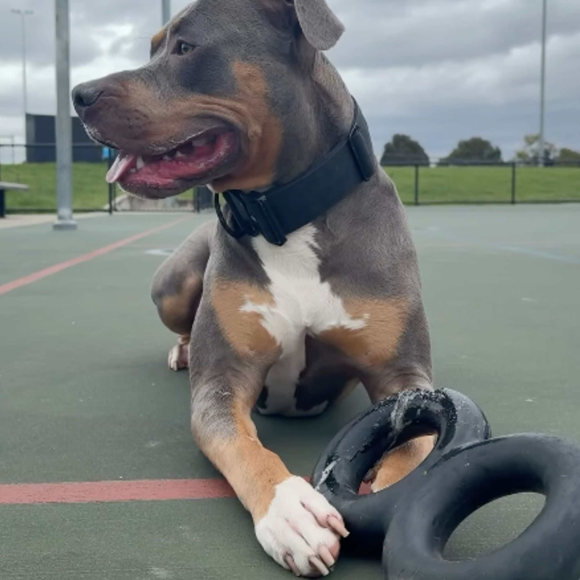 Large Natural Rubber Tug Toy